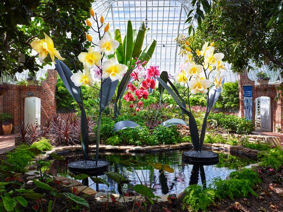 Gallery 3 - Phipps Conservatory and Botanical Gardens